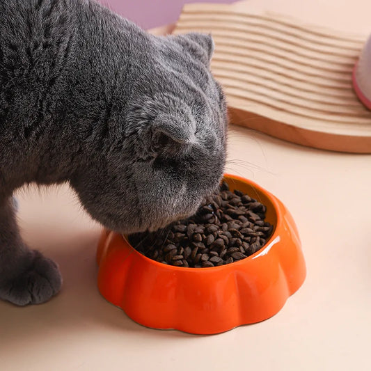 Cat Ceramic Fruit Bowl